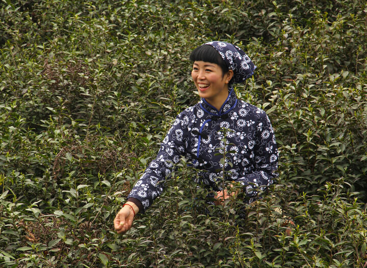 热门动漫1